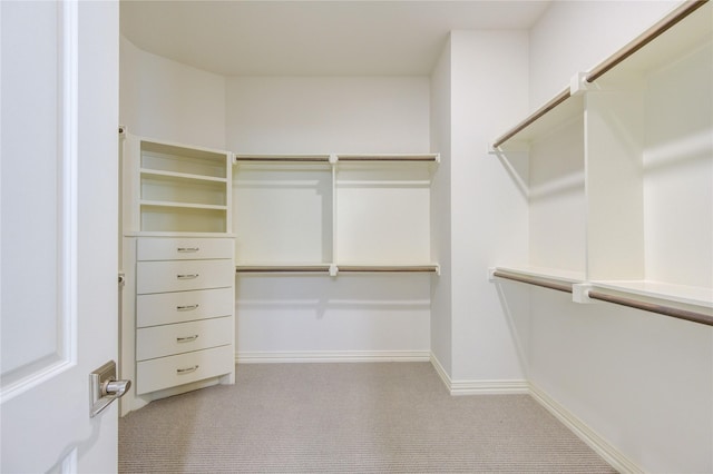 13706 Northwood Meadow Cir, Houston, TX 77077 - spacious closet with carpet