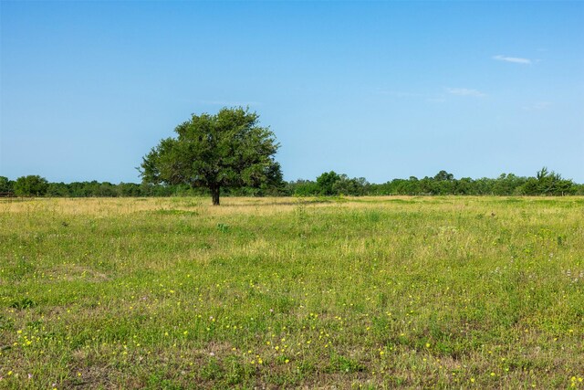 7196 County Road 208, Navasota, TX 77868 - photo 8