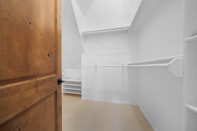 12986 Wood Harbour Dr, Montgomery, TX 77356 - spacious closet with light colored carpet
