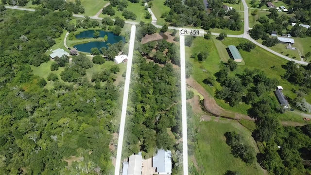 5031 County Road 819, Brazoria, TX 77422 - photo 6