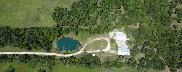 5031 County Road 819, Brazoria, TX 77422 - photo 1