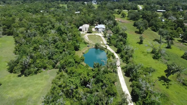 5031 County Road 819, Brazoria, TX 77422 - photo 4