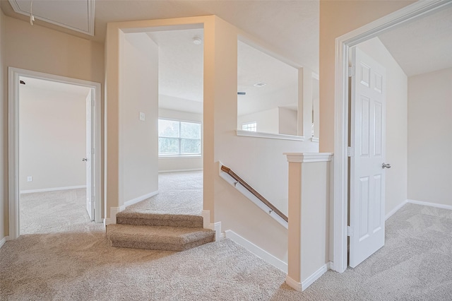 810 Dracena Ct, Richmond, TX 77406 - staircase featuring carpet, attic access, and baseboards