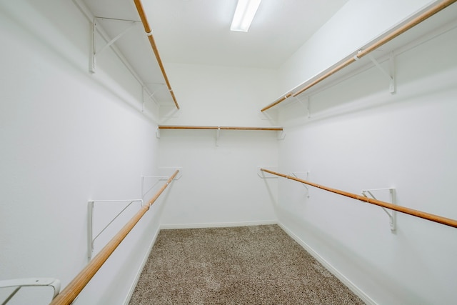 16511 Bluefin St, Crosby, TX 77532 - spacious closet featuring carpet floors