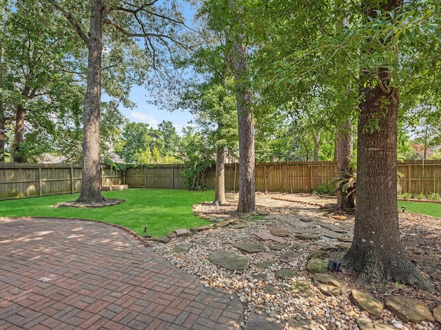 3910 Echo Mountain Dr, Kingwood, TX 77345 - view of yard featuring a patio area