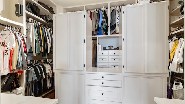 5215 Feagan St Unit A, Houston, TX 77007 - view of walk in closet