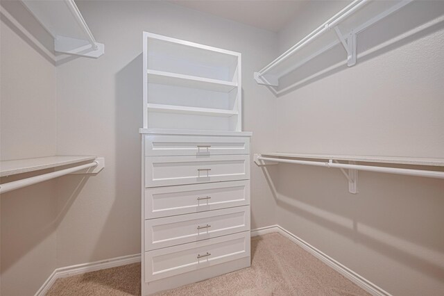 4523 Nexus Rd, Houston, TX 77053 - walk in closet with light colored carpet