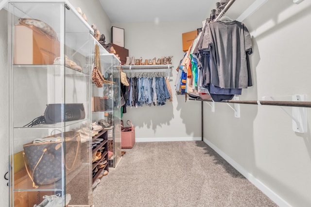 28403 Hannahs Harbor Ln, Katy, TX 77494 - spacious closet with carpet floors