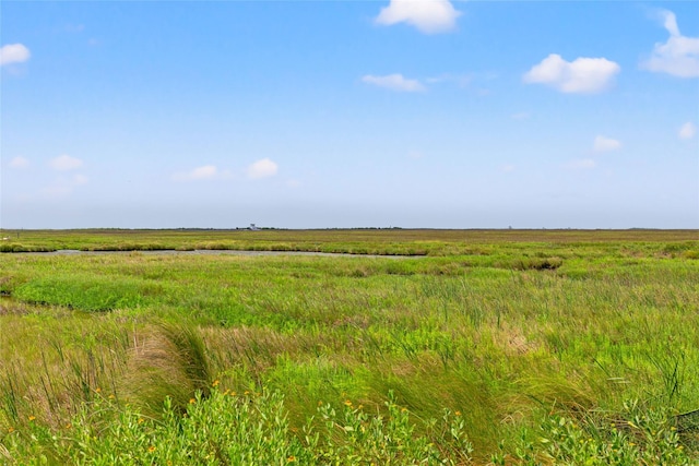 334 Bay Ave, Surfside Beach, TX 77541 - view of local wilderness with rural landscape