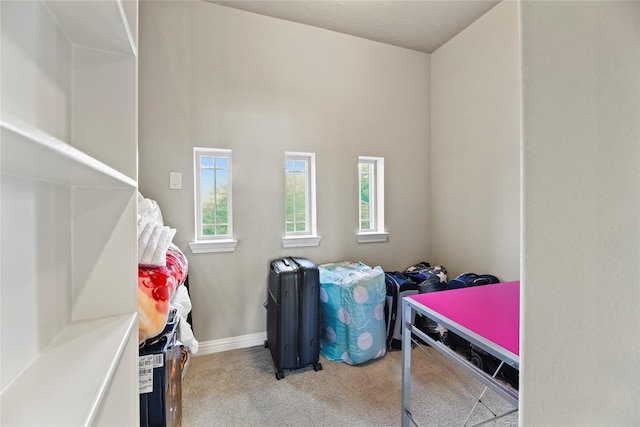 3310 Ralston Edge Ln, Houston, TX 77059 - view of storage