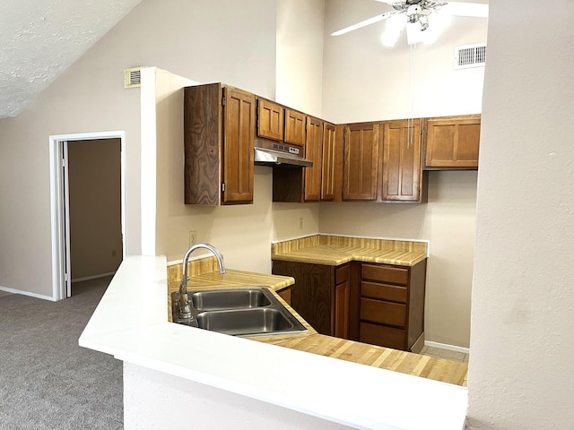 21007 Rivershadows Ln, Spring, TX 77388 - kitchen featuring a sink, vaulted ceiling, under cabinet range hood, carpet flooring, and ceiling fan