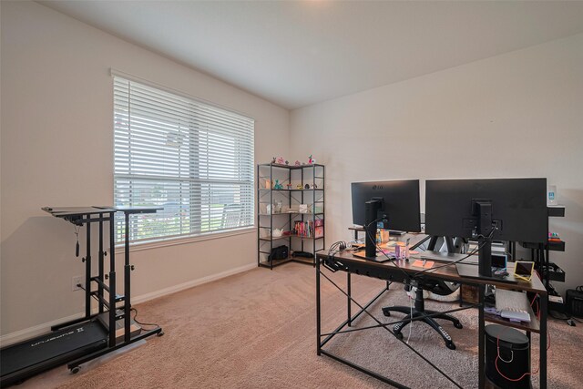 308 Morning Dove Trl, Sealy, TX 77474 - home office with light colored carpet and baseboards