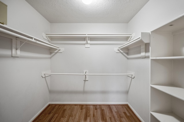3102 Spring Flower Ln, Spring, TX 77388 - walk in closet with wood finished floors