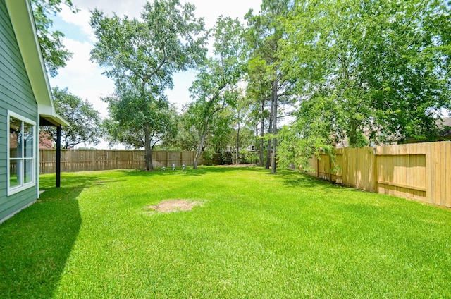 7919 Clarion Way, Houston, TX 77040 - view of yard