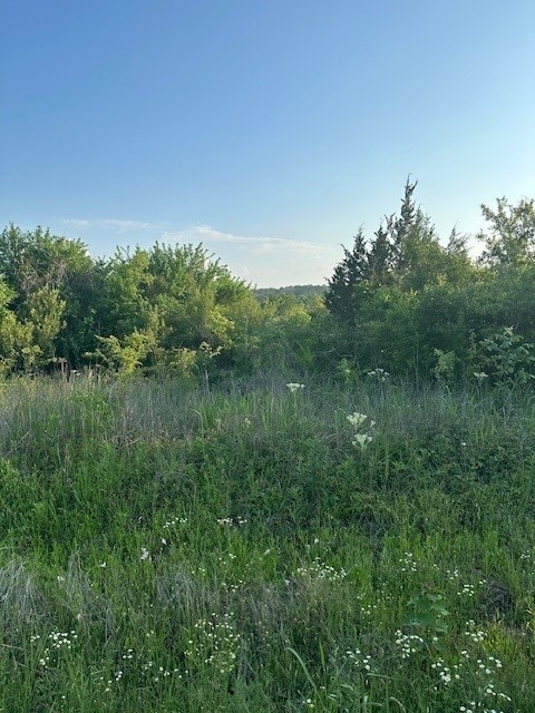 TBD Donahoe Rd, Coldspring, TX 77331