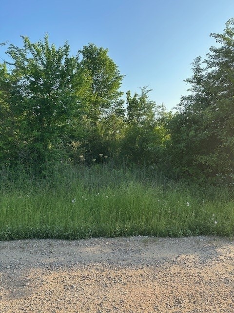 TBD Donahoe Rd, Coldspring, TX 77331