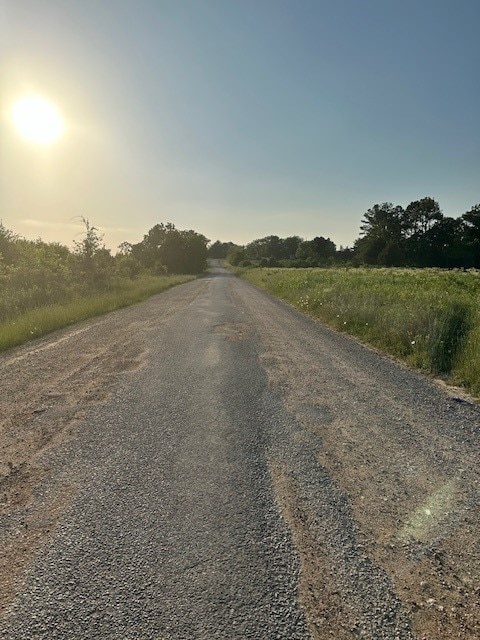 TBD Donahoe Rd, Coldspring, TX 77331