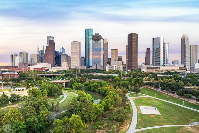 1724 Ridgewood St, Houston, TX 77006 - view of city skyline