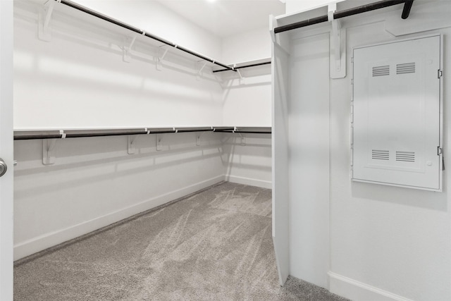 11439 Bush Clover Dr, Cypress, TX 77433 - spacious closet featuring carpet flooring