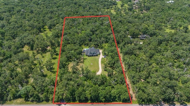20203 Lake View Rd, Damon, TX 77430 - photo 45