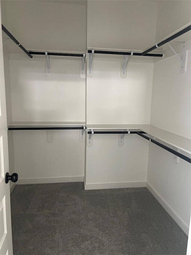 2931 El Fenice Ln, Houston, TX 77057 - spacious closet with carpet