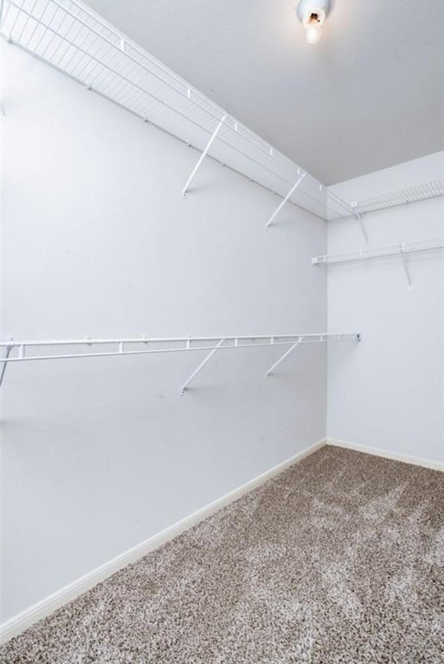 134 Willowwood Cir, The Woodlands, TX 77381 - spacious closet featuring carpet flooring