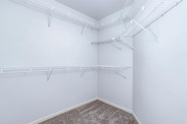 134 Willowwood Cir, The Woodlands, TX 77381 - walk in closet featuring carpet flooring