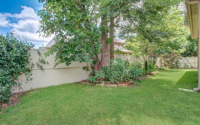 10202 S Goshawk Trl, Conroe, TX 77385 - photo 37