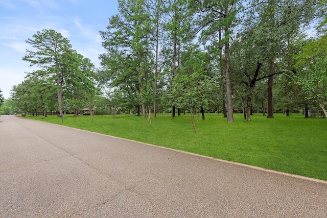 0 Meadow Wood Dr, Magnolia, TX 77354