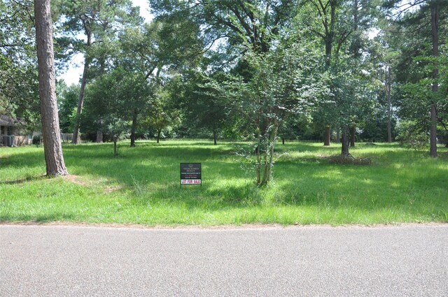 0 Meadow Wood Dr, Magnolia, TX 77354