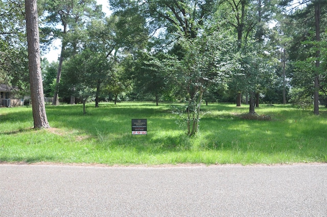 0 Meadow Wood Dr, Magnolia, TX 77354