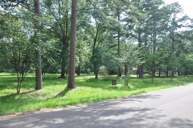 0 Meadow Wood Dr, Magnolia, TX 77354