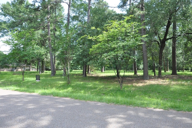 0 Meadow Wood Dr, Magnolia, TX 77354