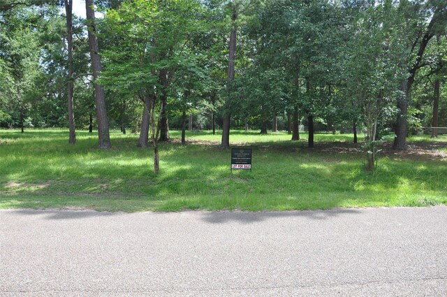 0 Meadow Wood Dr, Magnolia, TX 77354