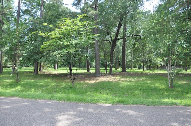 0 Meadow Wood Dr, Magnolia, TX 77354