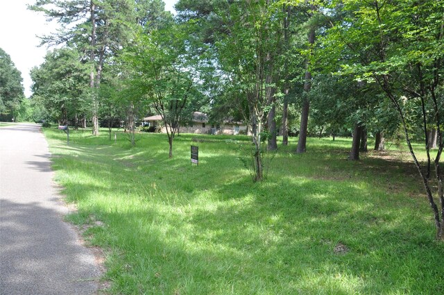 0 Meadow Wood Dr, Magnolia, TX 77354