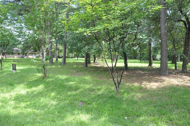 0 Meadow Wood Dr, Magnolia, TX 77354