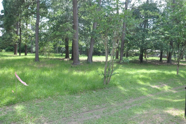 0 Meadow Wood Dr, Magnolia, TX 77354