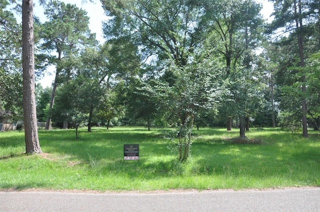 0 Meadow Wood Dr, Magnolia, TX 77354