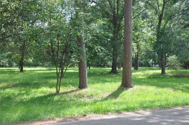 0 Meadow Wood Dr, Magnolia, TX 77354