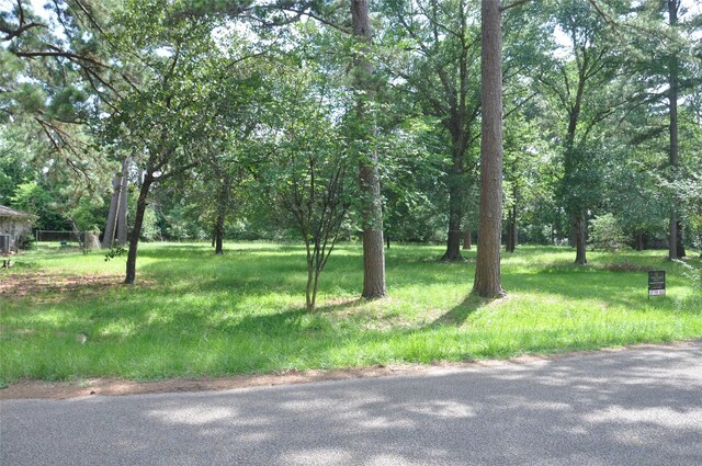 0 Meadow Wood Dr, Magnolia, TX 77354