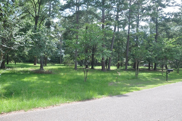 0 Meadow Wood Dr, Magnolia, TX 77354