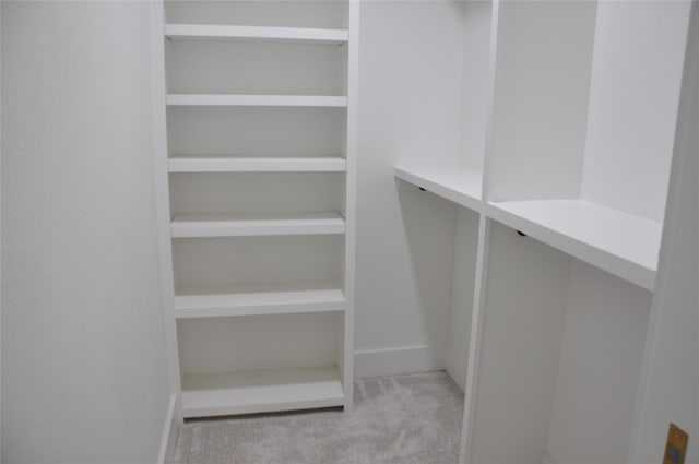 2522 Cassius Ct, New Caney, TX 77357 - spacious closet featuring carpet floors