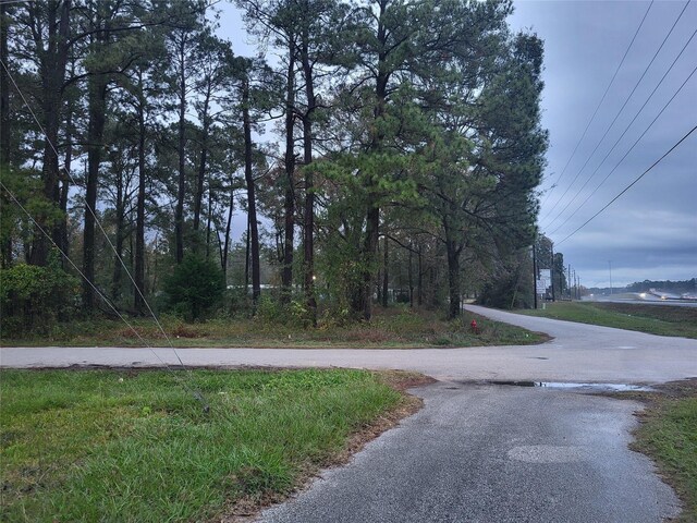 400 Hickory, Cleveland, TX 77328 - photo 4