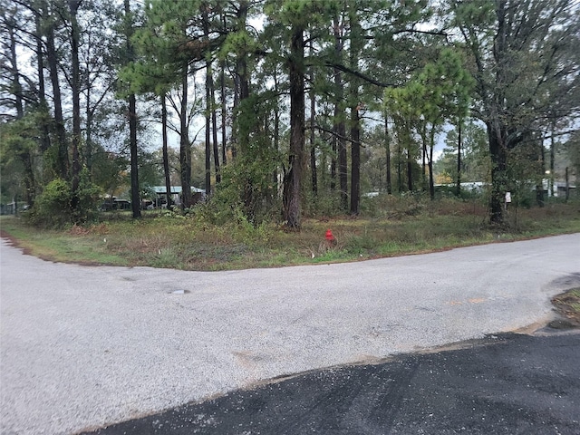 400 Hickory, Cleveland, TX 77328 - photo 1