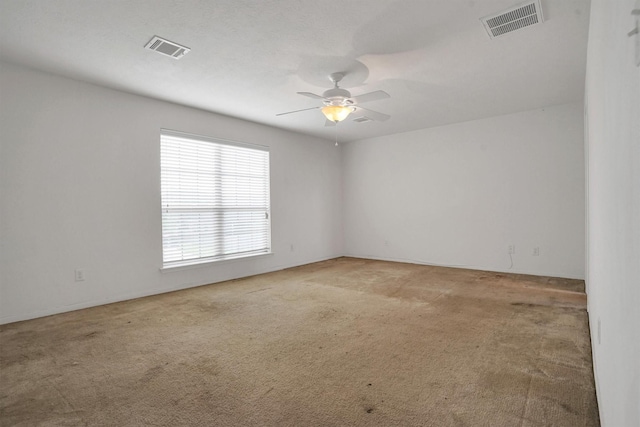 6602 Point Hollow Ln, Richmond, TX 77469 - photo 20