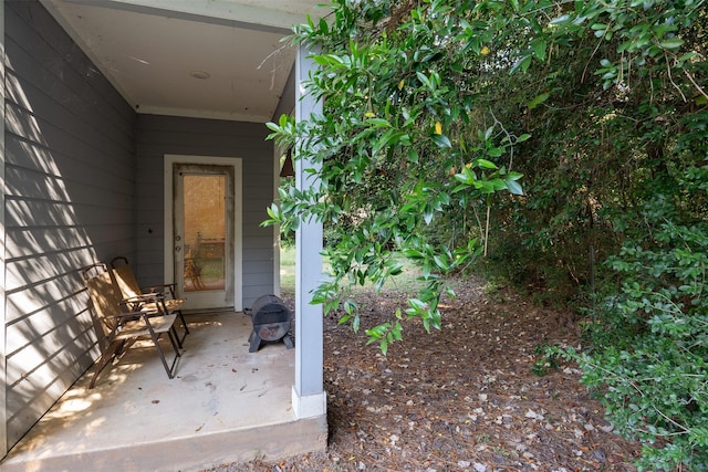 237 Ridgeside Ct, Montgomery, TX 77316 - view of doorway to property