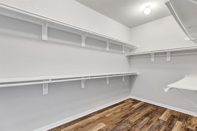 30510 Legend Oaks Ct, Magnolia, TX 77355 - walk in closet with wood finished floors