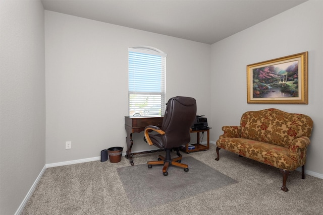 1217 Antelope Passing Dr, Montgomery, TX 77316 - home office with carpet flooring and baseboards