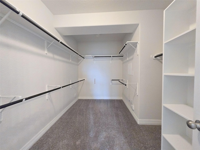 3559 Britton Burrow Way, Richmond, TX 77406 - spacious closet with carpet flooring
